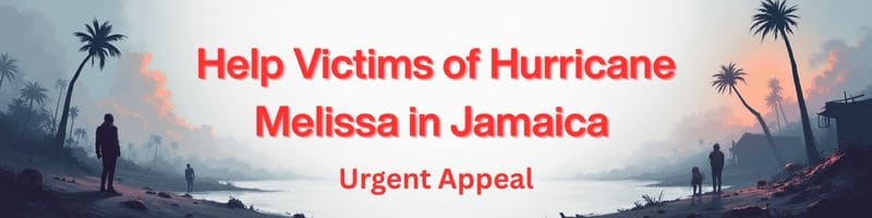 Jamaica Appeal